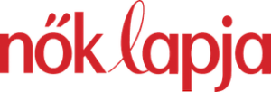 imgi_178_noklapja-logo-300x102-1.png